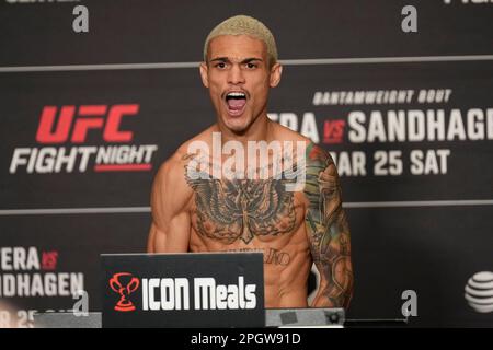 SAN ANTONIO, TEXAS, STATI UNITI. 24th Mar, 2023. SAN ANTONIO, TX - Marzo 24: Daniel Lacerda scala per i pesini ufficiali al Westin San Antonio North per UFC Fight Night - vera vs Sandhagen - Weigh-ins il 24 Marzo 2023 a SAN ANTONIO, Stati Uniti. (Credit Image: © Louis Grasse/PX Imagens via ZUMA Press Wire) SOLO PER USO EDITORIALE! Non per USO commerciale! Foto Stock