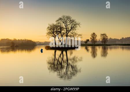 South Ruislip, Londra, Inghilterra, Regno Unito - Fotografia locale Foto Stock