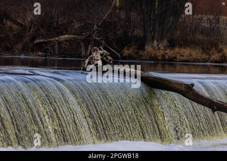 Un ceppo bloccato in una diga situata sul fiume Fox in Elgin del sud, Illinois Foto Stock