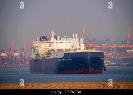 Petroliera GNL Rudolf Samoylovich, per il gas naturale liquefatto nel porto marittimo di Rotterdam, Maasvlakte2, Rotterdam, Paesi Bassi, Foto Stock