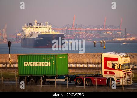 Petroliera LNG Rudolf Samoylovich, per il gas naturale liquido nel porto marittimo di Rotterdam, Maasvlakte2, autocarro per container, Rotterdam, Paesi Bassi, Foto Stock