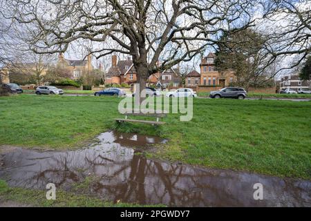 Londra UK 24 marzo 2023. Una panchina su un Wimbledon comune, sud-ovest di Londra, come previsioni meteorologiche prevedere pioggia e forti raffiche di vento fino a 40mph per Londra e il Sud-est Inghilterra questo fine settimana Credit: amer Ghazzal/Alamy Live News Foto Stock