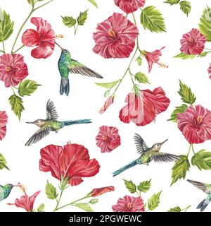 Il motivo è senza cuciture con fiori di ibisco rosso e uccelli colibrì su sfondo bianco. Motivo isolato acquerello, somma illustrazione panoramica Foto Stock
