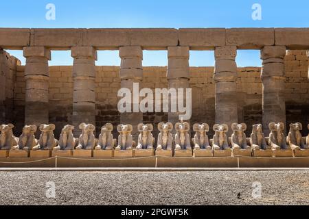 Statue di arieti situate dietro il tempio di Amun-Ra nei templi di Karnak Foto Stock