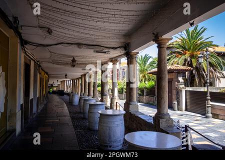 Case di sidro Aviles nelle strade della città vecchia, Asturie, Spagna Foto Stock