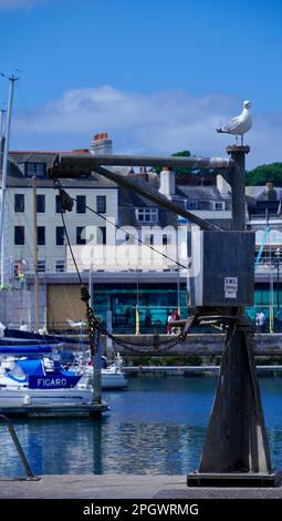 Plymouth, Devon, Inghilterra 06 luglio 2022: Viste da Plymouth Fisheries ai lussuosi yacht e motoscafi ormeggiati a Sutton Quay Foto Stock