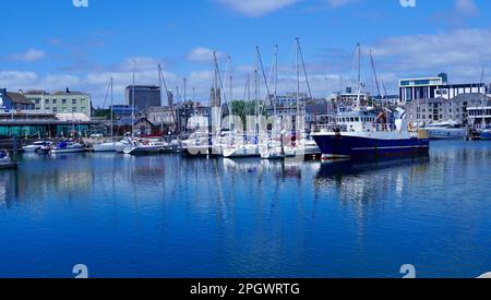 Plymouth, Devon, Inghilterra 06 luglio 2022: Viste da Plymouth Fisheries ai lussuosi yacht e motoscafi ormeggiati a Sutton Quay Foto Stock