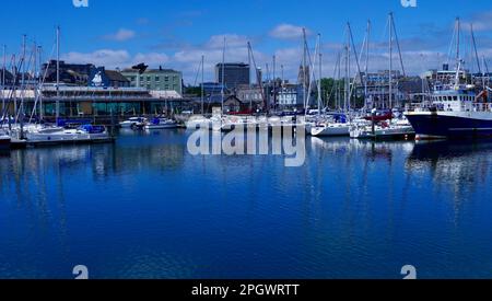 Plymouth, Devon, Inghilterra 06 luglio 2022: Viste da Plymouth Fisheries ai lussuosi yacht e motoscafi ormeggiati a Sutton Quay Foto Stock