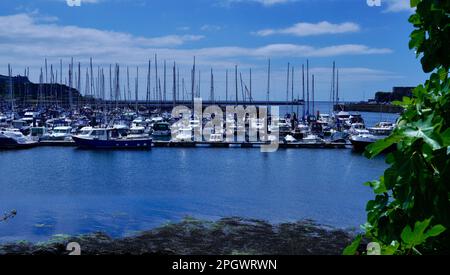 Plymouth, Devon, Inghilterra 06 luglio 2022: Viste da Plymouth Fisheries ai lussuosi yacht e motoscafi ormeggiati a Sutton Quay Foto Stock