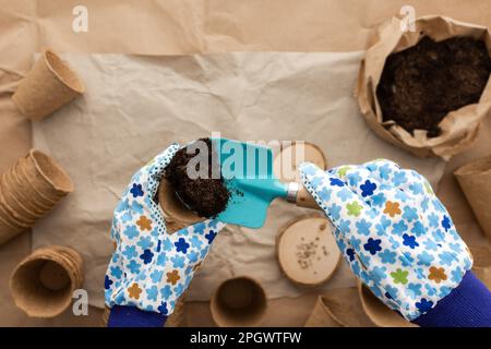 Piantare semi di pomodoro per piantine, mani con una pentola, pentole e semi ecocompatibili, attrezzi di terra e giardinaggio su carta artigianale, preparazione Foto Stock