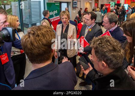 Cork, Irlanda. 24th Mar, 2023. Questa sera, al Silver Springs Hotel di Cork, si sta svolgendo la 72nd Labor Party Conference. Il leader laburista Ivana Bacik parla ai media durante la conferenza. Credit: AG News/Alamy Live News Foto Stock