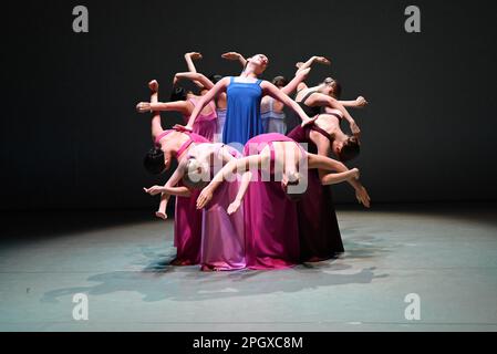 I giovani e gloriosi ballerini della Royal Swedish Ballet School eseguono estratti dell'opera seminale di Cohan del 1975, Stabat Mater . Una serata di coreografia per onorare l'eredità del leggendario coreografo Robert Cohan , il padre fondatore della danza contemporanea in questo paese, sarà eseguita presso il luogo il 24 e 25 marzo 2023. Questo pezzo sarà eseguito dagli studenti della Royal Swedish Ballet School . Foto Stock