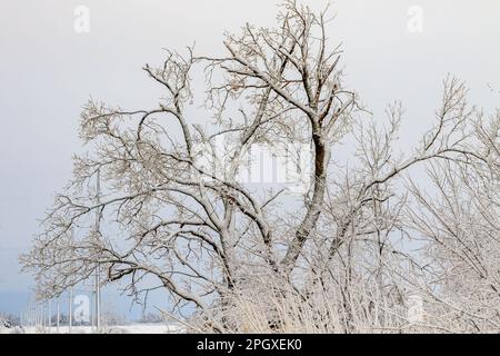 Lago Hefner a Oklahoma City dopo una tempesta d'inverno Foto Stock