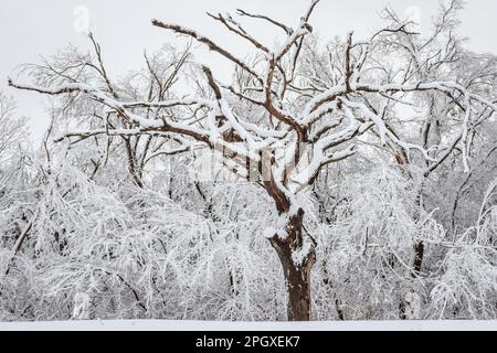 Lago Hefner a Oklahoma City dopo una tempesta d'inverno Foto Stock
