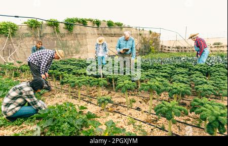 Gruppo di agricoltori che lavorano in terra agricola - concetto di stile di vita dei contadini Foto Stock