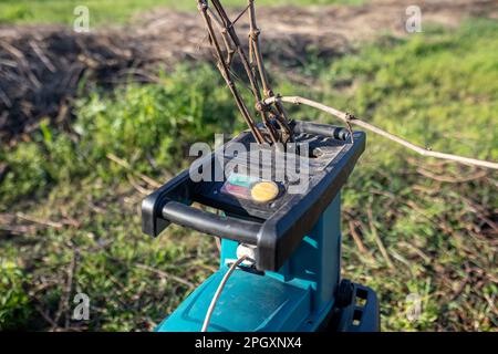 Tritacarne elettrico per tagliare rami di alberi durante la pulizia primaverile di fronte ad un mucchio di rami secchi nel giardino dopo la potatura degli alberi. Foto Stock