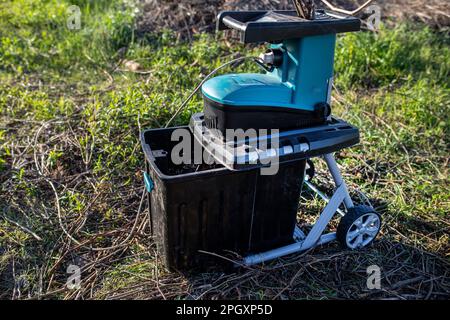 Scatola di raccolta da Garden Shredder riempita con rami triturati e pezzi di vite, adatta per pacciamatura da materiale rifinito durante la pulizia primaverile Foto Stock