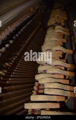 Primo piano all'interno di un vecchio pianoforte in una chiesa abbandonata nel Missouri rurale, Missouri, Stati Uniti, USA. Foto Stock