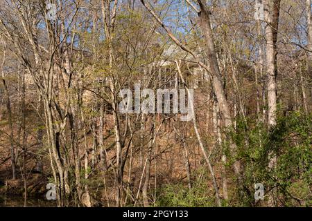 Palazzo nascosto nascosto nascosto nel bosco, parzialmente nascosto dalla vista. Concetto di proprietà immobiliare e domestica. Foto Stock