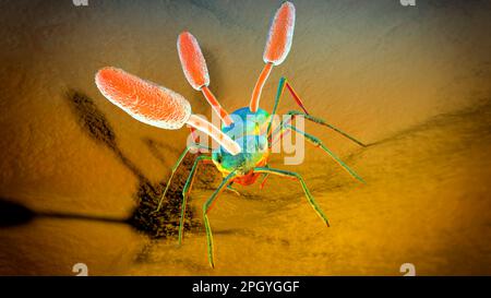 Cordyceps fungo parassita che cresce su formica, illustrazione Foto Stock