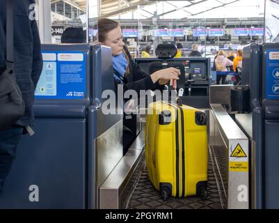 PRAGA, CZECHIA, 19 2023 GENNAIO, personale di terra della compagnia aerea che maneggia una valigia su una cintura al check-in Foto Stock