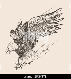 cattura di aquile, disegno a mano, illustrazione vettoriale Illustrazione Vettoriale