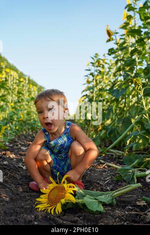 Il bambino è scioccato dal girasole rotto e chiede aiuto. Il concetto di conservazione della natura. Un ragazzo si siede accanto a un girasole rotto Foto Stock