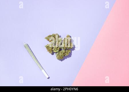 Un re comune si trova accanto a un mucchio di germogli di marijuana medica secca. Su fondo lilla e rosa, piatto Foto Stock
