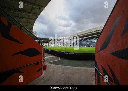 Hull, Regno Unito. 25th Mar, 2023. Vista generale all'interno del MKM Stadium davanti alla partita Betfred Super League Round 6 Hull FC vs Leigh Leopards al MKM Stadium, Hull, Regno Unito, 25th marzo 2023 (Foto di James Heaton/News Images) a Hull, Regno Unito il 3/25/2023. (Foto di James Heaton/News Images/Sipa USA) Credit: Sipa USA/Alamy Live News Foto Stock