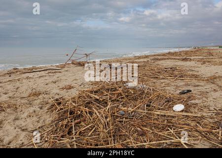 Mare d'Inverno - onde marine e materiale di origine naturale come conchiglie, piccolo legno, canne, legno di brushwood generale e tronchi sulla linea costiera. Foto Stock