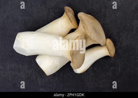 Funghi Pleurotus eryngii su fondo nero. I funghi interi crudi sono preparati per cucinare un piatto culinario. Foto Stock