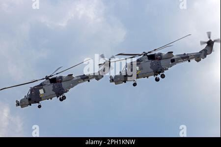 Elicotteri britannici Royal Navy Wildcat che decollano dall'aeroporto di Berlino-Schoneveld. Berlino, Germania - 2 giugno 2016 Foto Stock