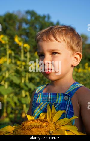 Un ragazzino in abiti estivi si trova tra i girasoli, una succosa foto estiva. Felice infanzia spensierata Foto Stock