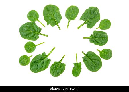 Spinaci foglie telaio isolato su bianco. Cibo sano Foto Stock