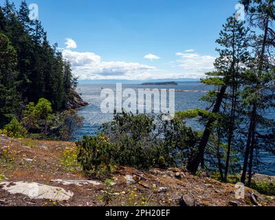 BC00659-00...BRITISH COLUMBIA - lo stretto della Georgia visto da Sarah Point, l'estremità settentrionale del Sunshine Coast Trail. Foto Stock