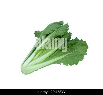 Verdure per insalata isolate su sfondo bianco con percorso di ritaglio. Foto Stock