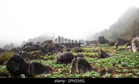 Ha Giang Loop, un'esperienza adrenalinica nel nord del Vietnam con un paesaggio e un'atmosfera incredibili. Il viaggio in moto offre una vacanza avventurosa. Foto Stock