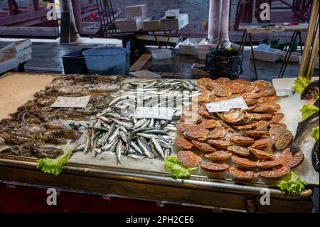 Venezia, Italia - 25 febbraio 2023: Pesce fresco esposto al mercato ittico di Rialto a Venezia. Foto Stock