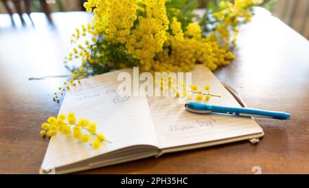 Fiori e fiori in vaso di mimosa, Acacia dealbata, un bel fiore simbolo della Festa della Donna celebrata il 8 marzo Foto Stock