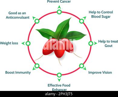 Miracolo frutta vitamine Illustrazione Vettoriale