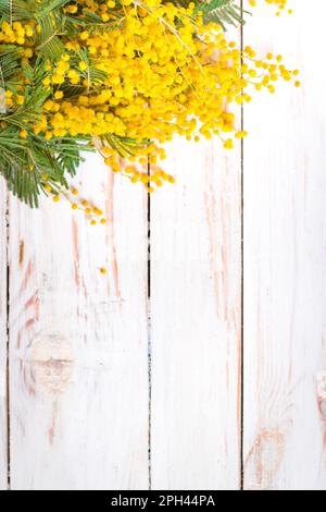 Mimosa fiori bouquet sullo sfondo rustico bianco legno. Decorazioni in stile elegante e shabby con fiori. Messa a fuoco selettiva. Spazio per il testo Foto Stock