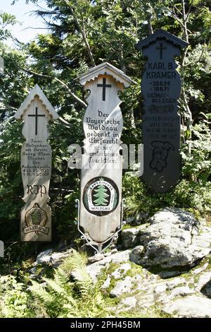 Dead boards, Foresta Bavarese, Baviera, Germania Foto Stock