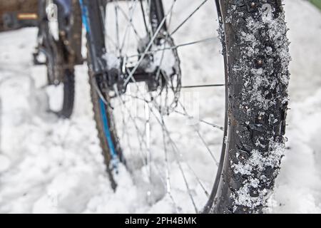 Una ruota ciclabile con punte invernali nella neve su una strada invernale Foto Stock