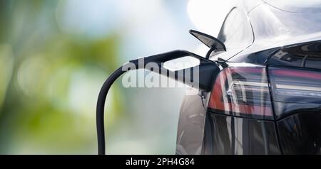 Primo piano dell'ingresso dell'auto elettrica con un cavo di ricarica collegato su sfondo verde. Foto di alta qualità Foto Stock