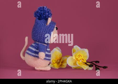 Bambola di gattino Amigurumi su sfondo rosa accanto a fiori di orchidea gialla. Un morbido giocattolo fai da te in cotone. Un gatto rosa che indossa abiti viola striati e. Foto Stock