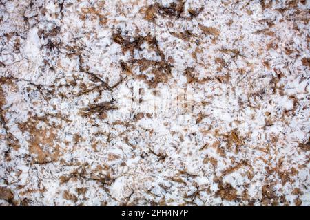 Struttura in pietra naturale, lastra di granito bianco ANTICO, colore lattiginoso con aggiunte di marrone scuro. Foto Stock