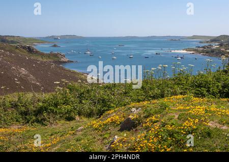 Guardando verso il basso su New Grimsby Harbour e Tresco Flats da Castle Down su Tresco, Isole di Scilly, Regno Unito Foto Stock