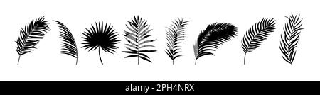 Beautifil foglie di palma Silhouette Illustrazione Vettoriale