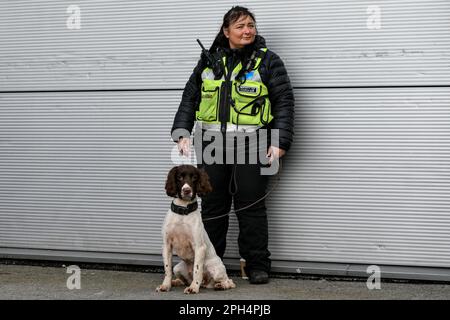 Manchester, Regno Unito. 26th Mar, 2023. Gestore di cani di polizia prima della partita di fa Women's Super League Manchester City Women vs Chelsea FC Women al campus di Etihad, Manchester, Regno Unito, 26th marzo 2023 (Foto di ben Roberts/News Images) a Manchester, Regno Unito il 3/26/2023. (Foto di ben Roberts/News Images/Sipa USA) Credit: Sipa USA/Alamy Live News Foto Stock