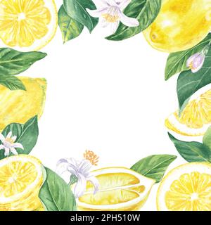 Cornice acquerello di limoni, fiori e foglie dipinta a mano in stile botanico, per l'uso in vacanza, matrimonio e design alimentare. Sfondo frutta tropicale Foto Stock